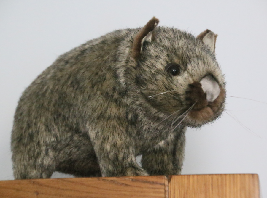The wombat